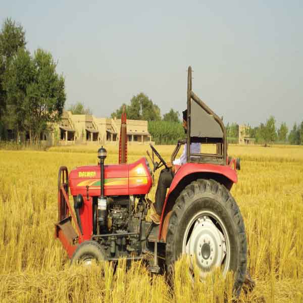 Farming activities at resort in amritsar