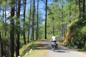 Our guests taking the cycle root at Fredy's Bugalow,Bhinsar