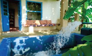 Read book over looking the fields at Punjabiyat