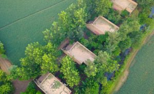 Punjabi architecture at Punjabiyat resort
