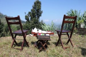 Choice of teas served at Itmenaan Estate